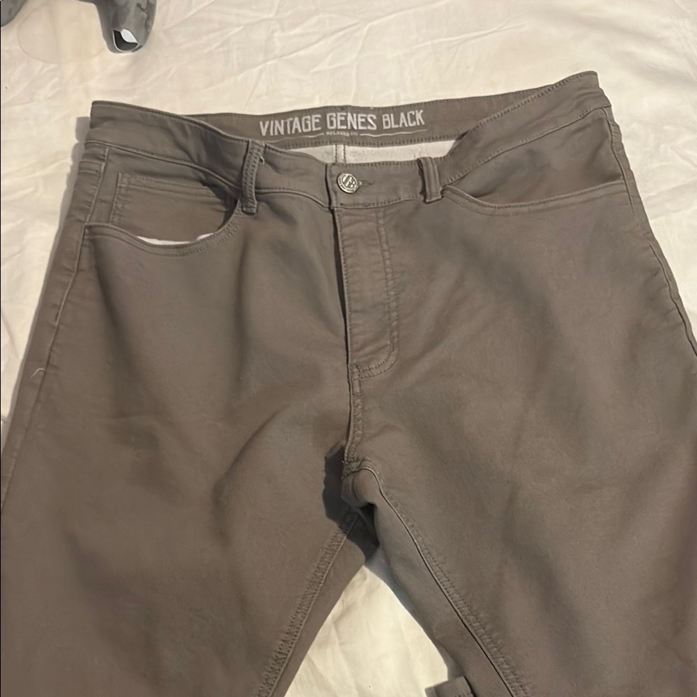 Vintage Genes Gray Pants